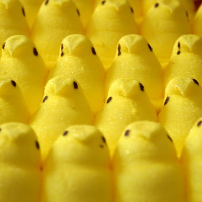 What are you asking the Easter Bunny for this year?